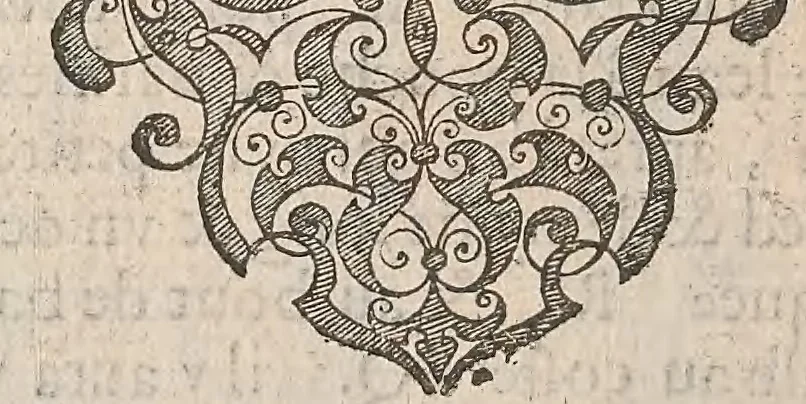 An illustration from Les raisons des forces mouuantes auec diuerses machines tant vtilles que plaisantes : aus quelles sont adioints plusieurs desseings de grotes et fontaines, 1615, leaf 81
