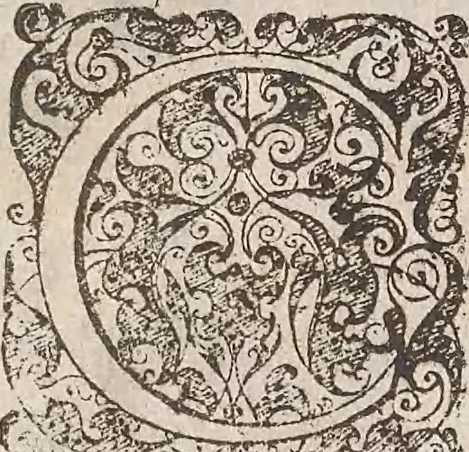 An illustration from Les raisons des forces mouuantes auec diuerses machines tant vtilles que plaisantes : aus quelles sont adioints plusieurs desseings de grotes et fontaines, 1615, leaf 89