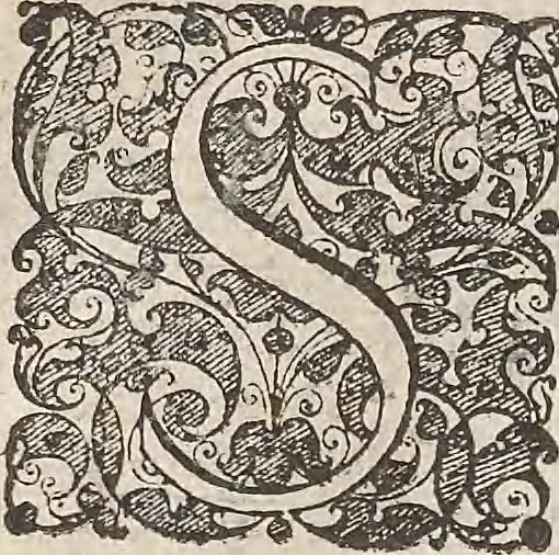An illustration from Les raisons des forces mouuantes auec diuerses machines tant vtilles que plaisantes : aus quelles sont adioints plusieurs desseings de grotes et fontaines, 1615, leaf 97