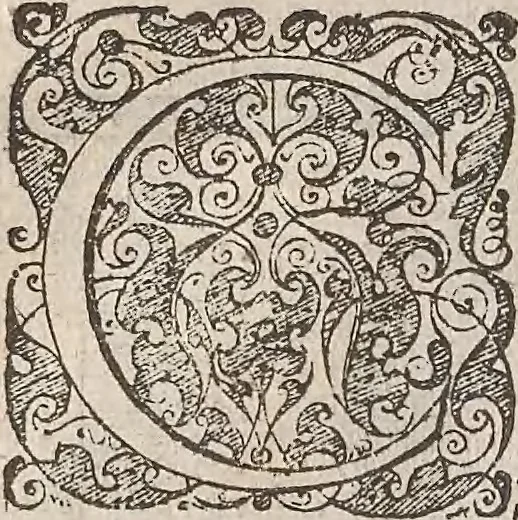An illustration from Les raisons des forces mouuantes auec diuerses machines tant vtilles que plaisantes : aus quelles sont adioints plusieurs desseings de grotes et fontaines, 1615, leaf 99