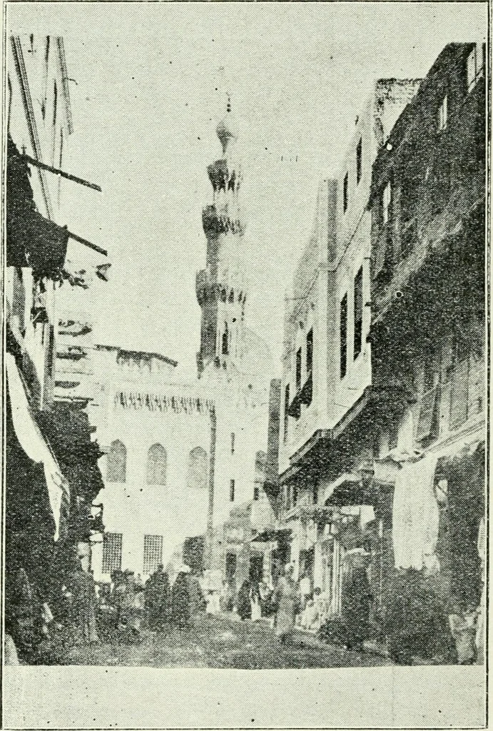 An illustration from Rambles in Cairo, 1917, leaf 113