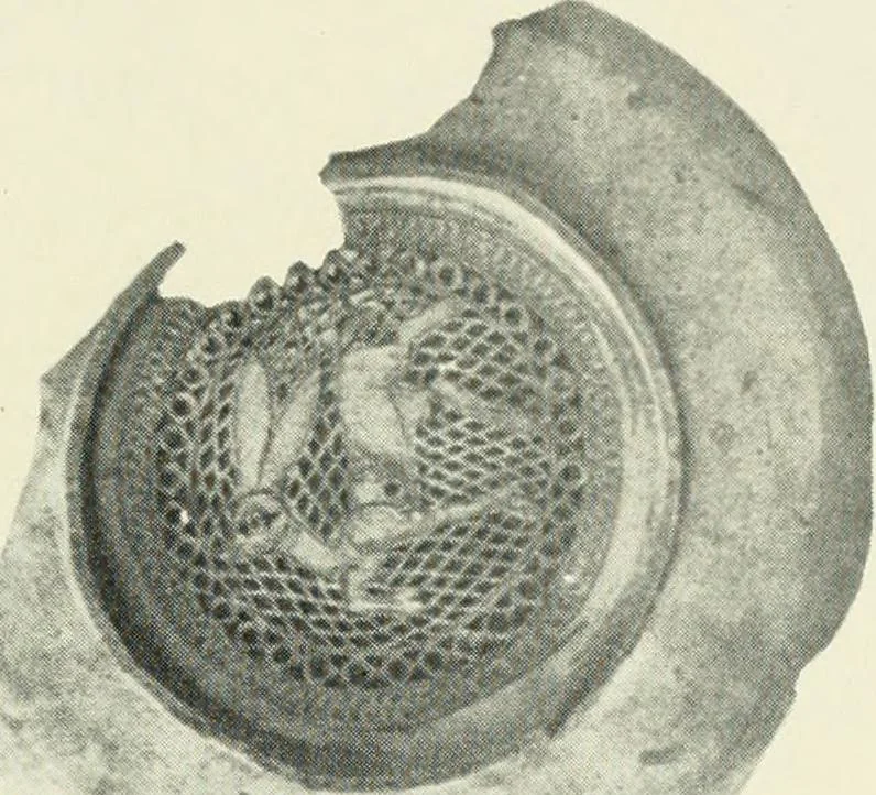 An illustration from Rambles in Cairo, 1917, leaf 118