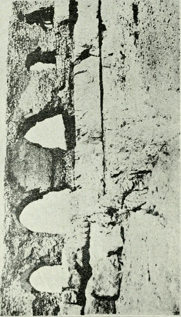 An illustration from Rambles in Cairo, 1917, leaf 17