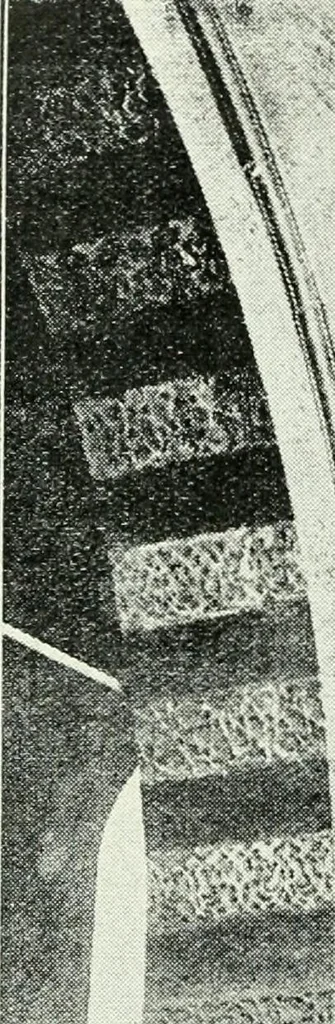 An illustration from Rambles in Cairo, 1917, leaf 27
