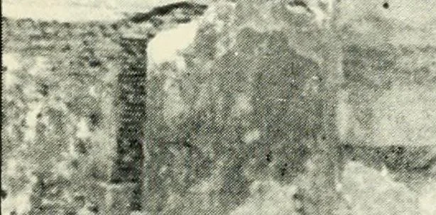 An illustration from Rambles in Cairo, 1917, leaf 70