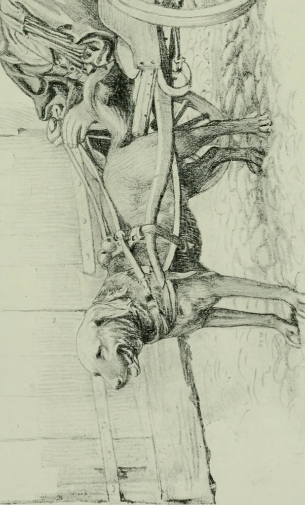 An illustration from Rambles in the Pyrenees and the adjacent districts, Gascony, Pays de Foix [and] Roussillon, 1912, leaf 114