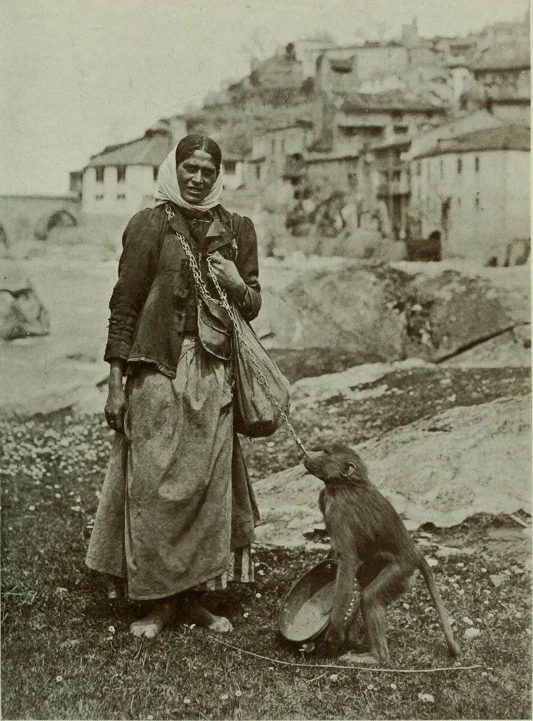 An illustration from Rambles in the Pyrenees and the adjacent districts, Gascony, Pays de Foix [and] Roussillon, 1912, leaf 216