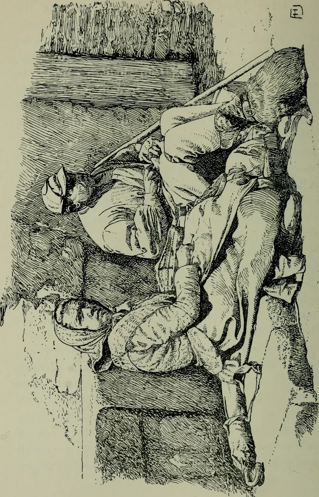 An illustration from Rambles in the Pyrenees and the adjacent districts, Gascony, Pays de Foix [and] Roussillon, 1912, leaf 381