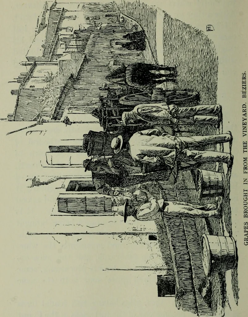 An illustration from Rambles in the Pyrenees and the adjacent districts, Gascony, Pays de Foix [and] Roussillon, 1912, leaf 407