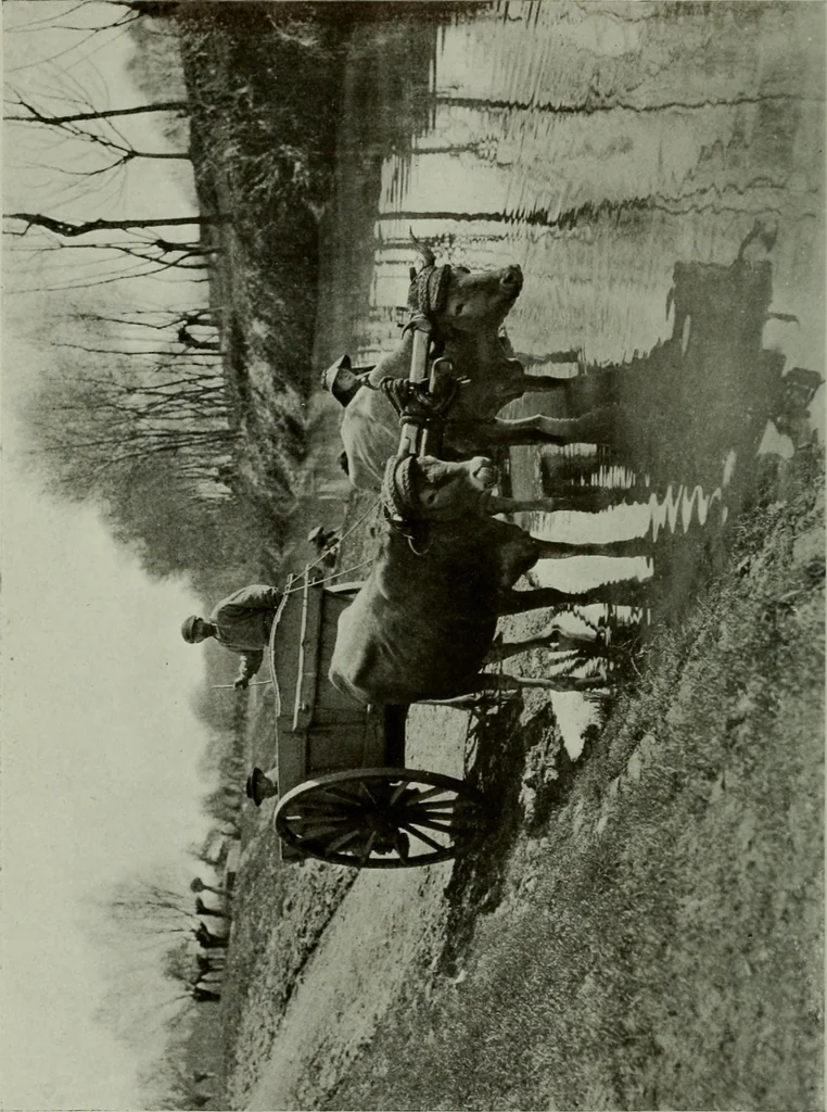 An illustration from Rambles in the Pyrenees and the adjacent districts, Gascony, Pays de Foix [and] Roussillon, 1912, leaf 7