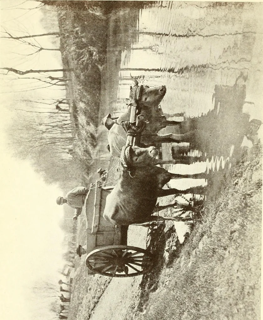 An illustration from Rambles in the Pyrenees and the adjacent districts, Gascony, Pays de Foix, & Roussillon, 1912, leaf 11
