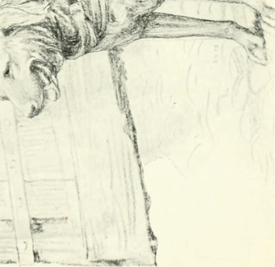 An illustration from Rambles in the Pyrenees and the adjacent districts, Gascony, Pays de Foix, & Roussillon, 1912, leaf 118