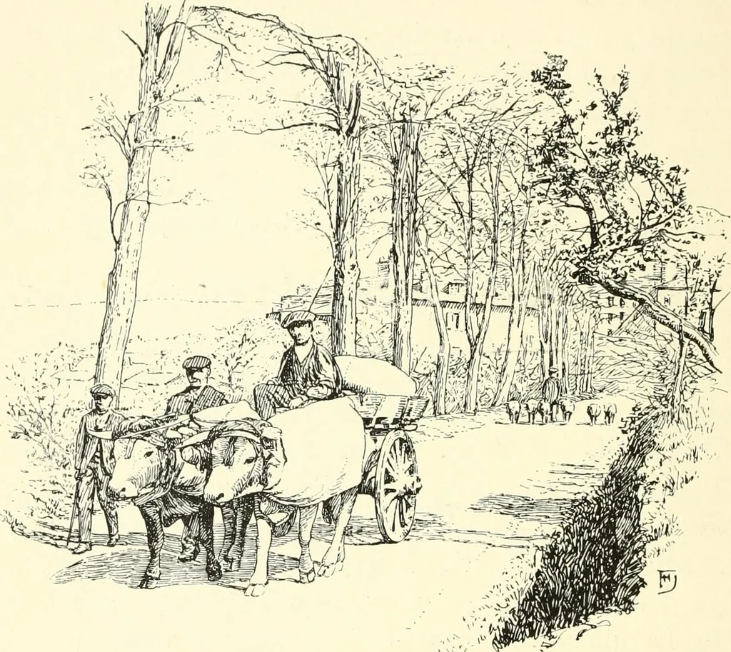 An illustration from Rambles in the Pyrenees and the adjacent districts, Gascony, Pays de Foix, & Roussillon, 1912, leaf 203