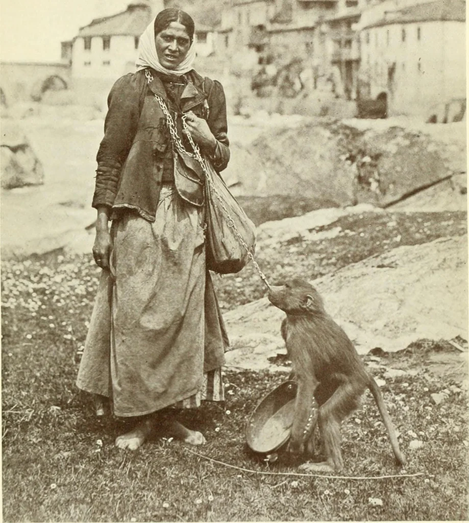 An illustration from Rambles in the Pyrenees and the adjacent districts, Gascony, Pays de Foix, & Roussillon, 1912, leaf 220