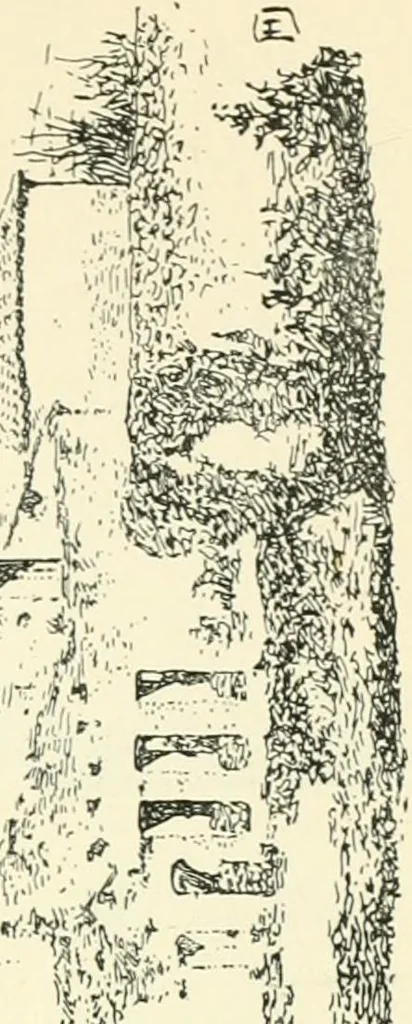 An illustration from Rambles in the Pyrenees and the adjacent districts, Gascony, Pays de Foix, & Roussillon, 1912, leaf 312