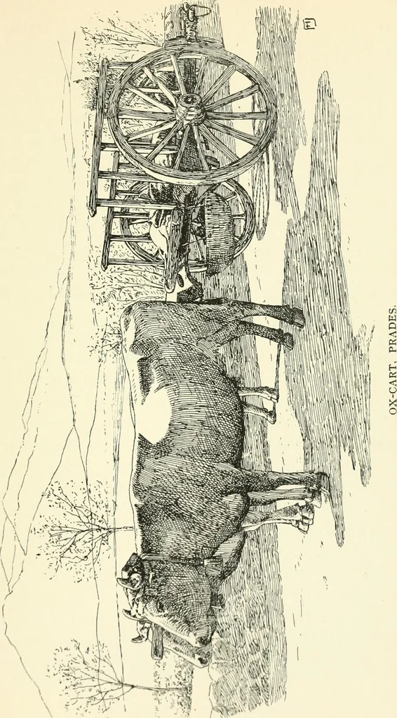An illustration from Rambles in the Pyrenees and the adjacent districts, Gascony, Pays de Foix, & Roussillon, 1912, leaf 314