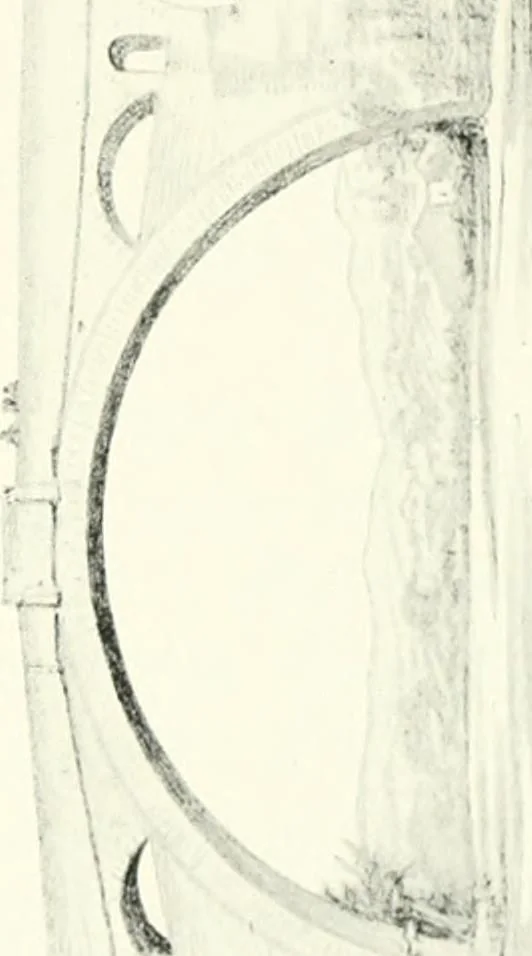An illustration from Rambles in the Pyrenees and the adjacent districts, Gascony, Pays de Foix, & Roussillon, 1912, leaf 374