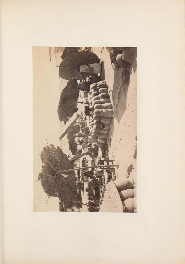 An illustration from Random records of a lifetime, 1846-1931 [actually 1932] volume V, Europe 1879-80; Grand Canyon of the Colorado; explorations in Mexico with Jackson and the Chains; Colorado with Powell and Langley, 1887, 1879, leaf 219