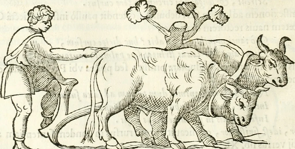 An illustration from Raphaelis Fabretti Gasparis F. Vrbinatis De columna Traiani syntagma : accesserunt explicatio veteris tabellae anaglyphae Homer Iliadem atque ex Stesichoro, Arctino et Lesche Ilii excidium continentis & emissarii lacus Fucini descriptio, 1683, leaf 159