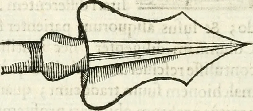 An illustration from Raphaelis Fabretti Gasparis F. Vrbinatis De columna Traiani syntagma : accesserunt explicatio veteris tabellae anaglyphae Homer Iliadem atque ex Stesichoro, Arctino et Lesche Ilii excidium continentis & emissarii lacus Fucini descriptio, 1683, leaf 187