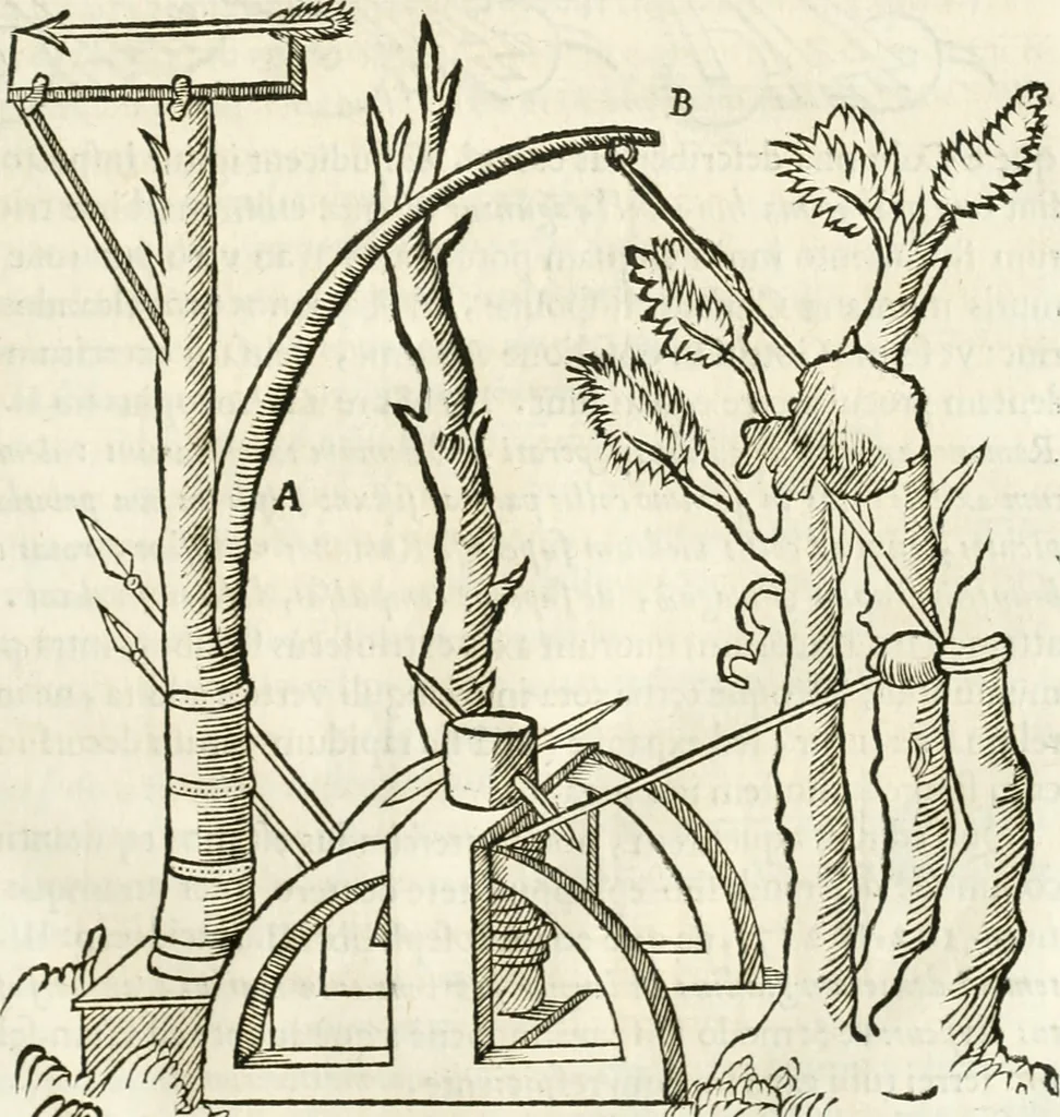 An illustration from Raphaelis Fabretti Gasparis F. Vrbinatis De columna Traiani syntagma : accesserunt explicatio veteris tabellae anaglyphae Homer Iliadem atque ex Stesichoro, Arctino et Lesche Ilii excidium continentis & emissarii lacus Fucini descriptio, 1683, leaf 226