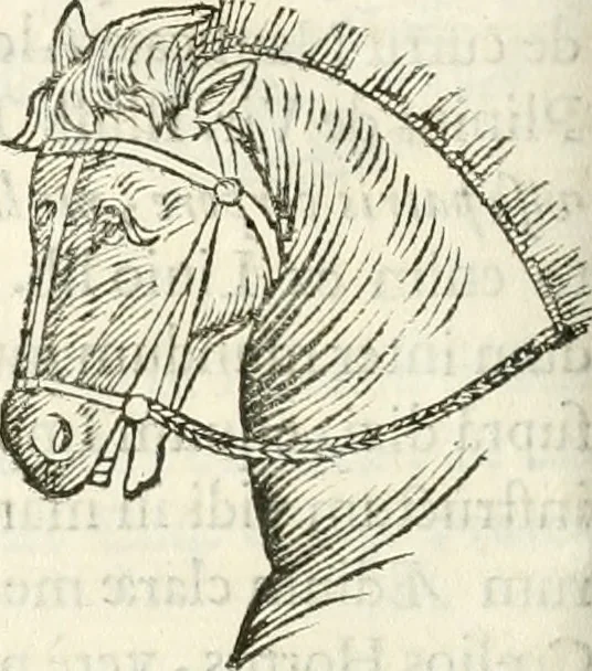 An illustration from Raphaelis Fabretti Gasparis F. Vrbinatis De columna Traiani syntagma : accesserunt explicatio veteris tabellae anaglyphae Homer Iliadem atque ex Stesichoro, Arctino et Lesche Ilii excidium continentis & emissarii lacus Fucini descriptio, 1683, leaf 233