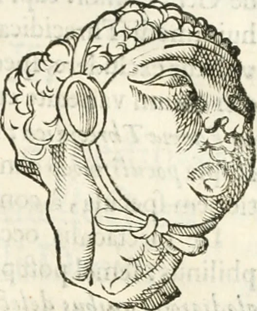An illustration from Raphaelis Fabretti Gasparis F. Vrbinatis De columna Traiani syntagma : accesserunt explicatio veteris tabellae anaglyphae Homer Iliadem atque ex Stesichoro, Arctino et Lesche Ilii excidium continentis & emissarii lacus Fucini descriptio, 1683, leaf 274