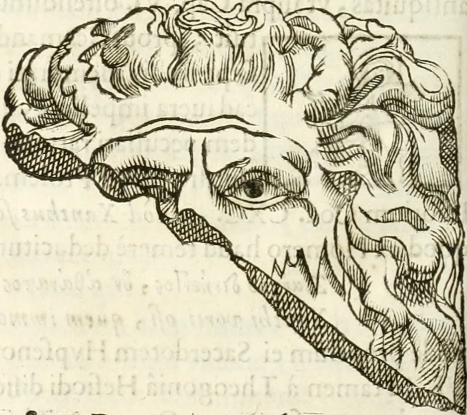 An illustration from Raphaelis Fabretti Gasparis F. Vrbinatis De columna Traiani syntagma : accesserunt explicatio veteris tabellae anaglyphae Homer Iliadem atque ex Stesichoro, Arctino et Lesche Ilii excidium continentis & emissarii lacus Fucini descriptio, 1683, leaf 311