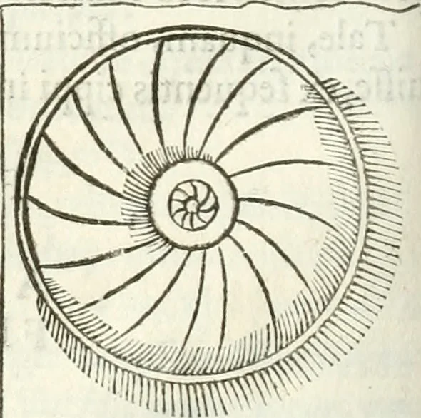An illustration from Raphaelis Fabretti Gasparis F. Vrbinatis De columna Traiani syntagma : accesserunt explicatio veteris tabellae anaglyphae Homer Iliadem atque ex Stesichoro, Arctino et Lesche Ilii excidium continentis & emissarii lacus Fucini descriptio, 1683, leaf 347
