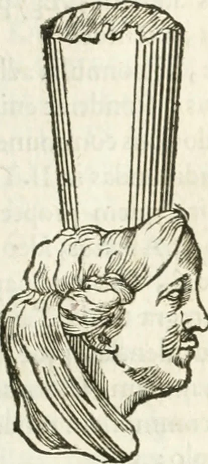 An illustration from Raphaelis Fabretti Gasparis F. Vrbinatis De columna Traiani syntagma : accesserunt explicatio veteris tabellae anaglyphae Homer Iliadem atque ex Stesichoro, Arctino et Lesche Ilii excidium continentis & emissarii lacus Fucini descriptio, 1683, leaf 356