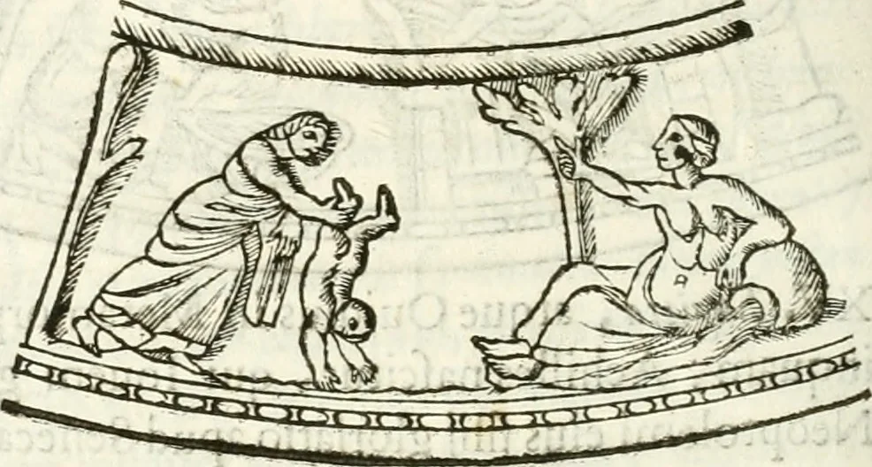 An illustration from Raphaelis Fabretti Gasparis F. Vrbinatis De columna Traiani syntagma : accesserunt explicatio veteris tabellae anaglyphae Homer Iliadem atque ex Stesichoro, Arctino et Lesche Ilii excidium continentis & emissarii lacus Fucini descriptio, 1683, leaf 365