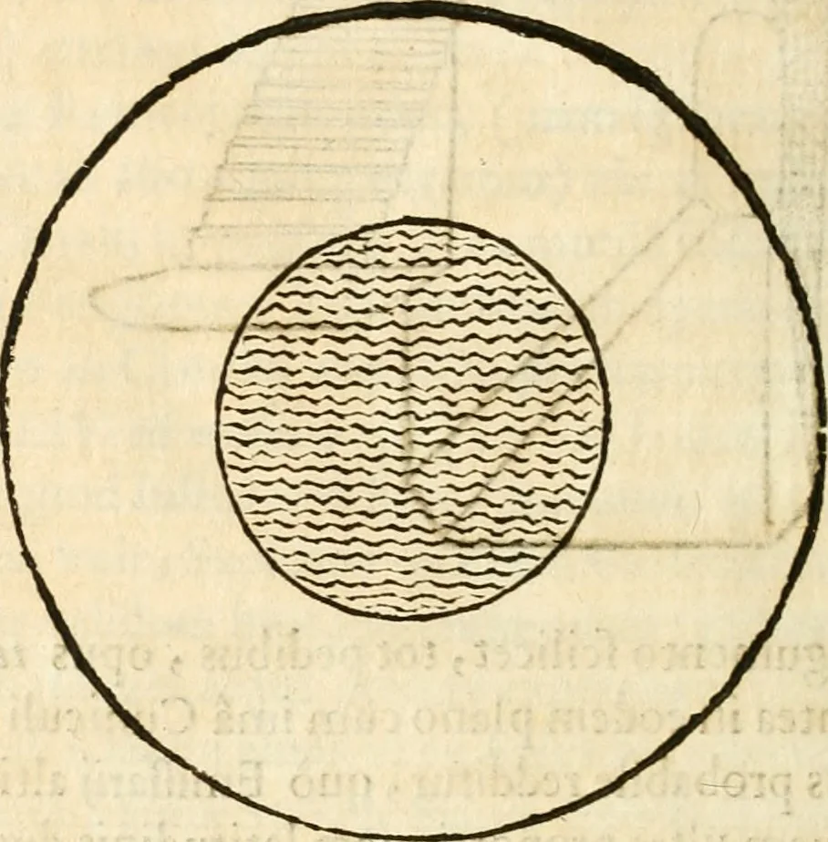 An illustration from Raphaelis Fabretti Gasparis F. Vrbinatis De columna Traiani syntagma : accesserunt explicatio veteris tabellae anaglyphae Homer Iliadem atque ex Stesichoro, Arctino et Lesche Ilii excidium continentis & emissarii lacus Fucini descriptio, 1683, leaf 407