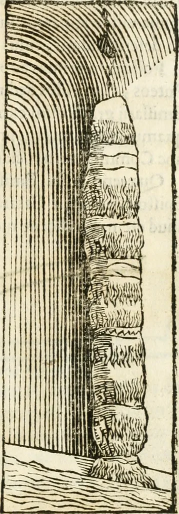An illustration from Raphaelis Fabretti Gasparis F. Vrbinatis De columna Traiani syntagma : accesserunt explicatio veteris tabellae anaglyphae Homer Iliadem atque ex Stesichoro, Arctino et Lesche Ilii excidium continentis & emissarii lacus Fucini descriptio, 1683, leaf 424
