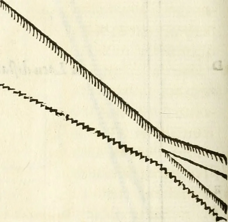 An illustration from Raphaelis Fabretti Gasparis F. Vrbinatis De columna Traiani syntagma : accesserunt explicatio veteris tabellae anaglyphae Homer Iliadem atque ex Stesichoro, Arctino et Lesche Ilii excidium continentis & emissarii lacus Fucini descriptio, 1683, leaf 429