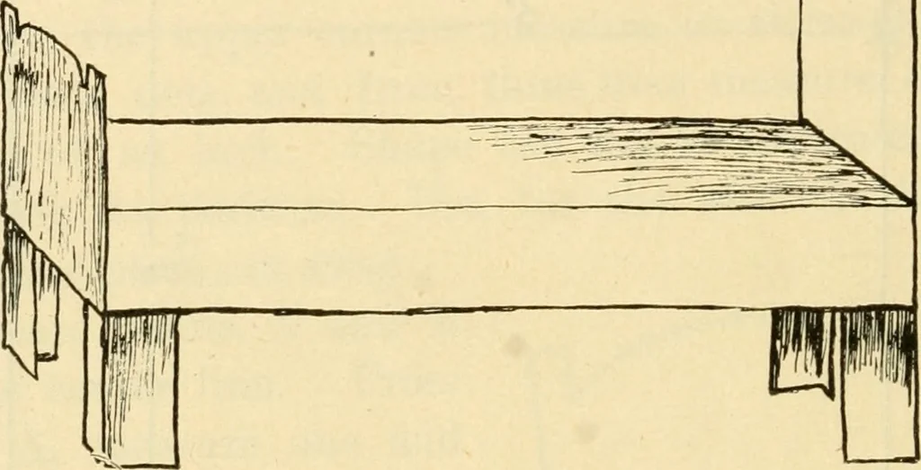 An illustration from Raphia and reed weaving, including also cardboard and paper construction; a practical course for primary and elementary schools, 1901, leaf 101