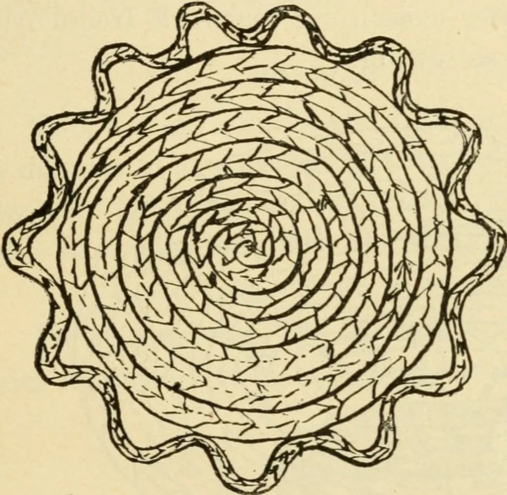 An illustration from Raphia and reed weaving, including also cardboard and paper construction; a practical course for primary and elementary schools, 1901, leaf 102