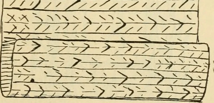 An illustration from Raphia and reed weaving, including also cardboard and paper construction; a practical course for primary and elementary schools, 1901, leaf 106