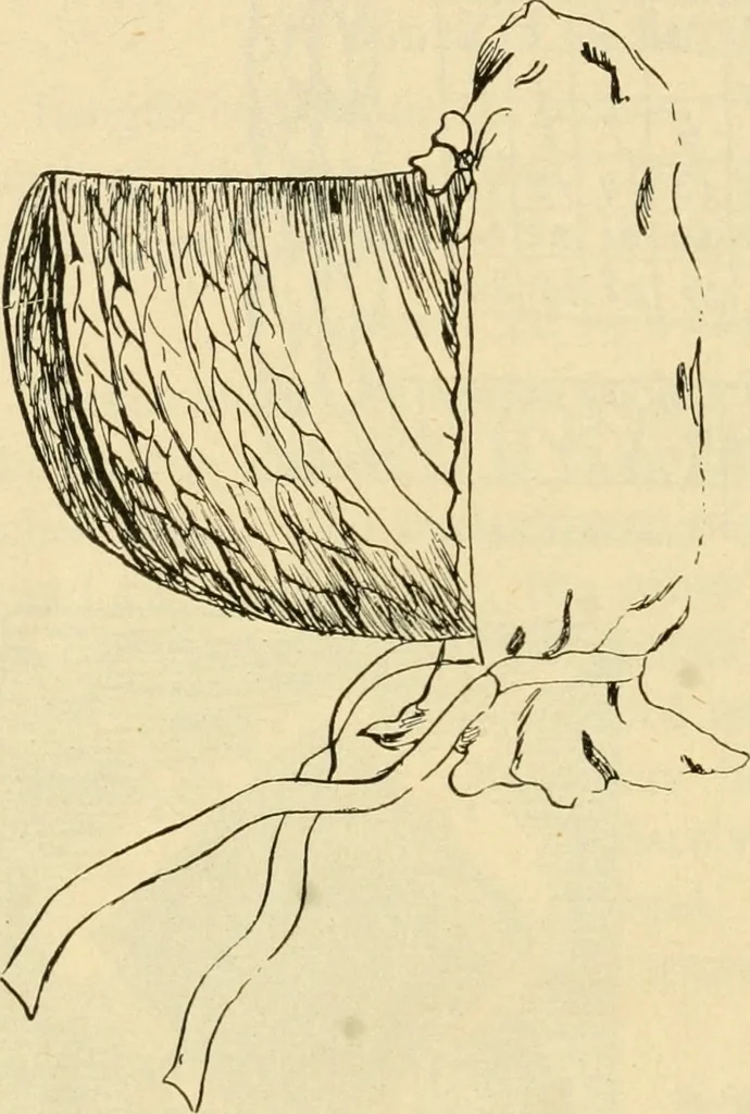 An illustration from Raphia and reed weaving, including also cardboard and paper construction; a practical course for primary and elementary schools, 1901, leaf 109