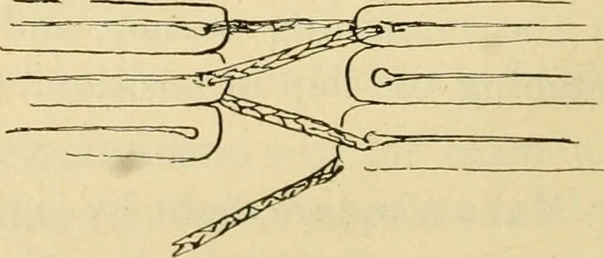 An illustration from Raphia and reed weaving, including also cardboard and paper construction; a practical course for primary and elementary schools, 1901, leaf 109