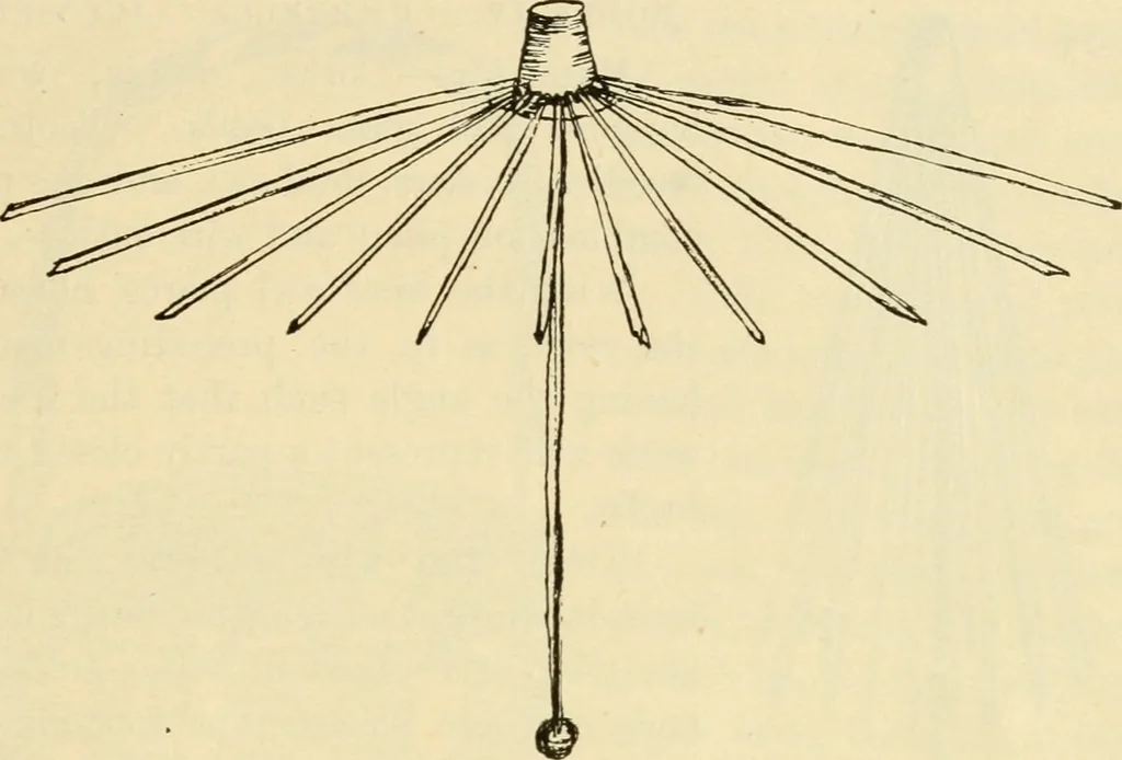 An illustration from Raphia and reed weaving, including also cardboard and paper construction; a practical course for primary and elementary schools, 1901, leaf 116