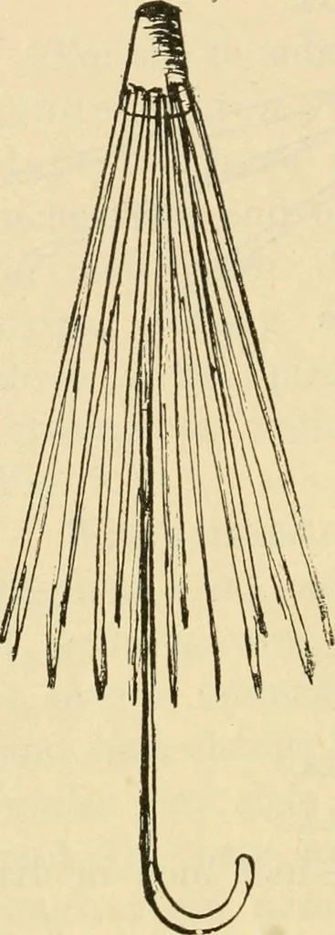 An illustration from Raphia and reed weaving, including also cardboard and paper construction; a practical course for primary and elementary schools, 1901, leaf 117