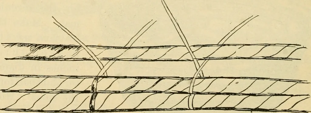 An illustration from Raphia and reed weaving, including also cardboard and paper construction; a practical course for primary and elementary schools, 1901, leaf 121