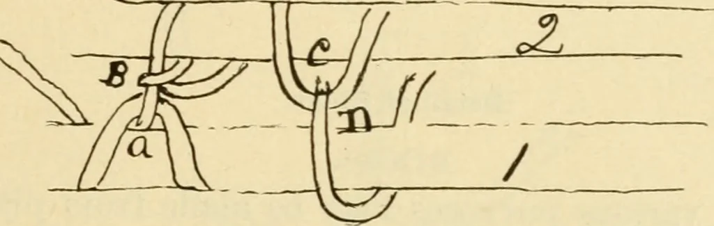 An illustration from Raphia and reed weaving, including also cardboard and paper construction; a practical course for primary and elementary schools, 1901, leaf 124