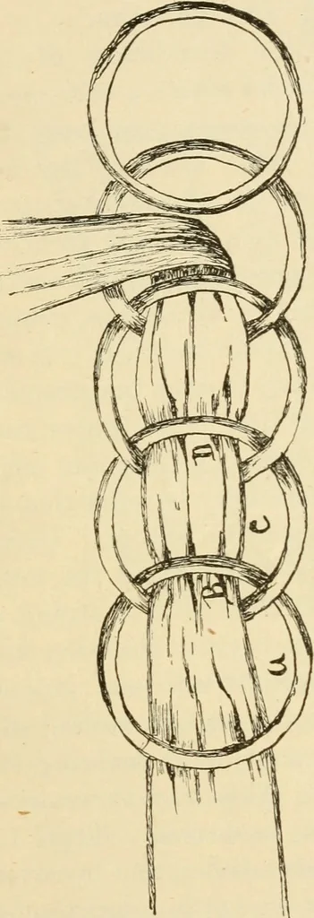 An illustration from Raphia and reed weaving, including also cardboard and paper construction; a practical course for primary and elementary schools, 1901, leaf 132