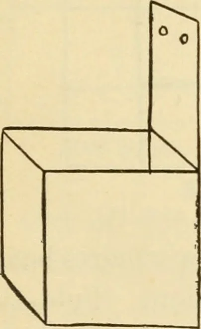 An illustration from Raphia and reed weaving, including also cardboard and paper construction; a practical course for primary and elementary schools, 1901, leaf 14
