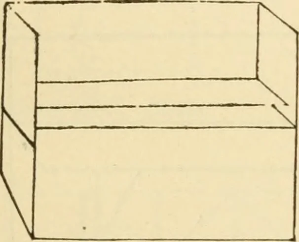 An illustration from Raphia and reed weaving, including also cardboard and paper construction; a practical course for primary and elementary schools, 1901, leaf 16