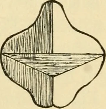An illustration from Raphia and reed weaving, including also cardboard and paper construction; a practical course for primary and elementary schools, 1901, leaf 17