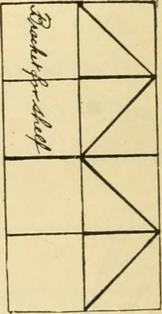 An illustration from Raphia and reed weaving, including also cardboard and paper construction; a practical course for primary and elementary schools, 1901, leaf 17
