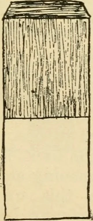 An illustration from Raphia and reed weaving, including also cardboard and paper construction; a practical course for primary and elementary schools, 1901, leaf 24