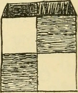 An illustration from Raphia and reed weaving, including also cardboard and paper construction; a practical course for primary and elementary schools, 1901, leaf 25
